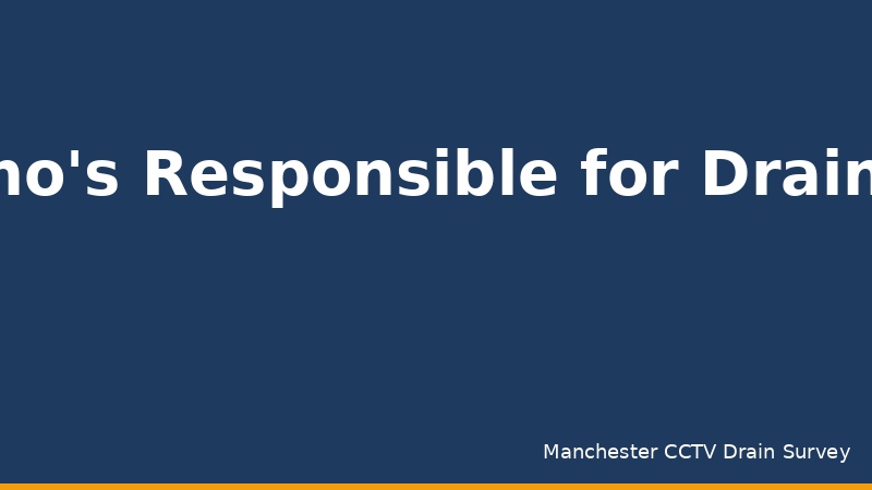 Who Is Responsible for Drains When Buying a House?